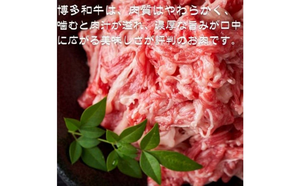 【定期便全2回】【訳あり】【A4〜A5ランク】博多和牛 切り落とし 250g