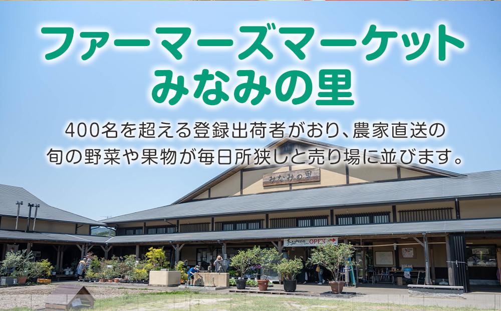 【直売所みなみの里厳選】旬の野菜・果物セット