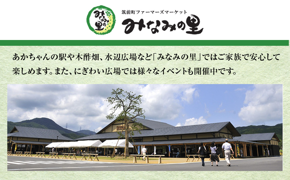 すっぽん鍋一人前と卵黄のはちみつ漬け