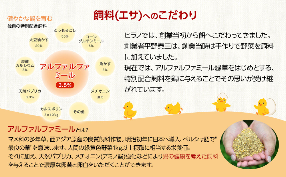 【年内発送】ヒラノのたまご【輝黄卵(きおうらん)】赤Mサイズ10kg(160個前後)
