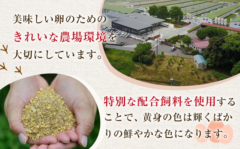 【定期便6回】ヒラノのたまご【輝黄卵(きおうらん)】赤Mサイズ10kg(160個前後)