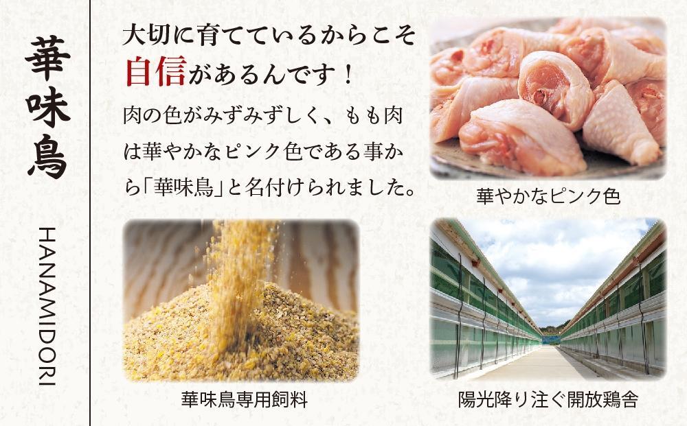 【年内発送】博多華味鳥　水たきセット　３～４人前　H-A4W （ちゃんぽん麺付）