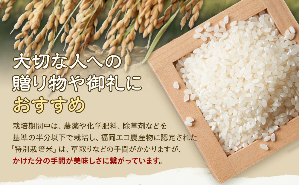 【特別栽培米】久保山百年米-無洗米(2kg×3袋)計6kg