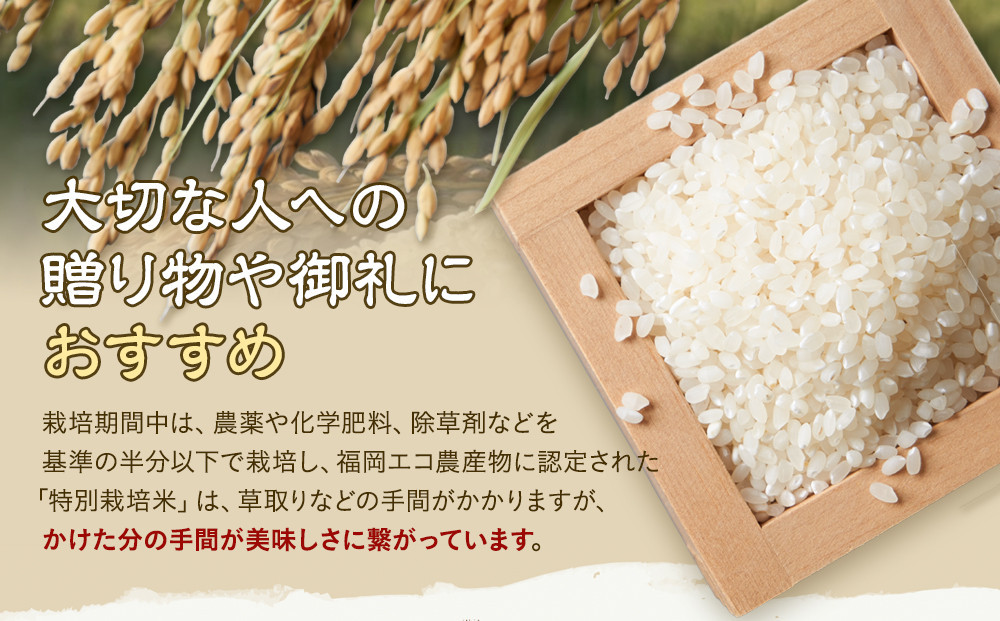 【特別栽培米】久保山百年米-白米3kg×1袋