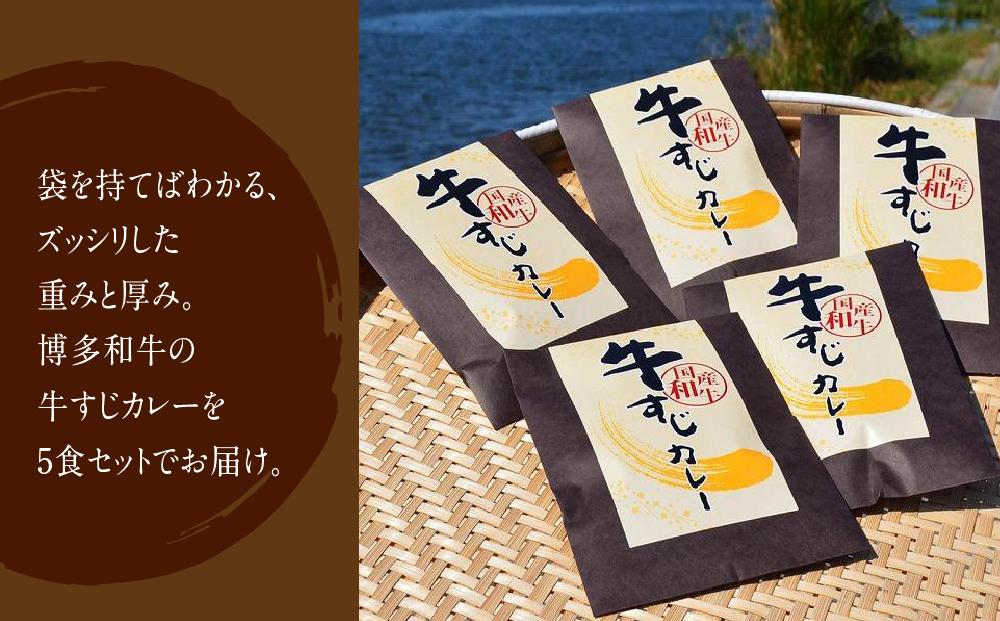 ゴロッ!と入ったコラーゲン博多和牛すじカレー5食セット(筑前町)