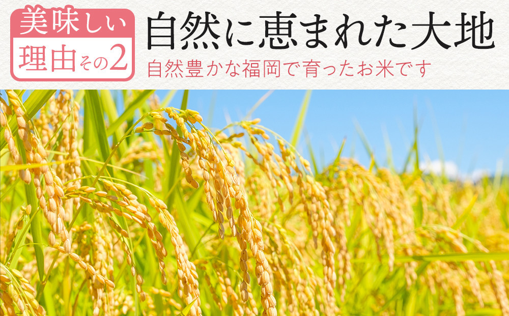 【令和7年産新米】【食味鑑定士厳選】福岡県産 夢つくし20kg (5kg×4袋)