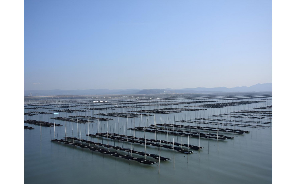 本場有明海栽培海苔　海王　一番摘み焼海苔［全形5枚入り7袋］