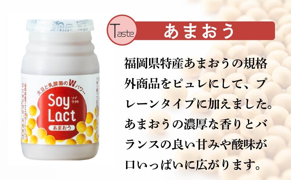 乳酸菌醗酵豆乳「ソイラクト」100ml×4本×3種（プレーン・あまおう・八女抹茶）