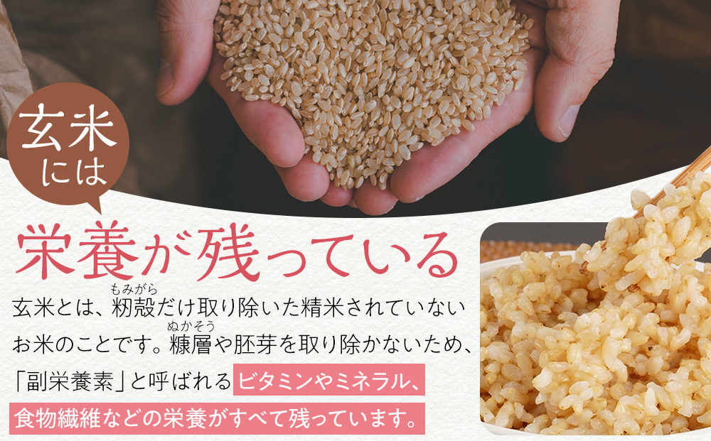 福岡県産夢つくし玄米パックご飯24個セット