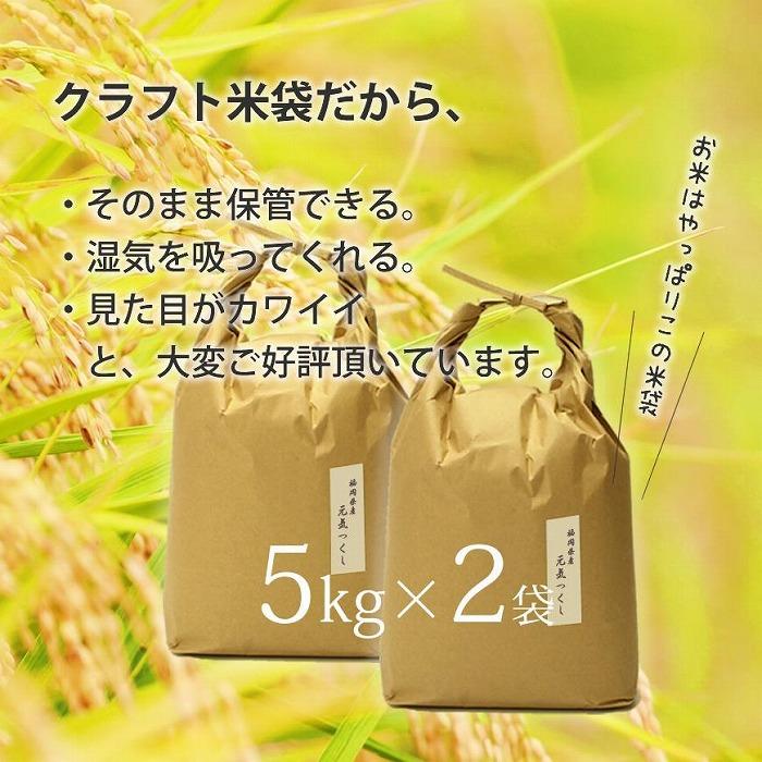 ＜令和7年産＞福岡県産【特A】評価のお米「元気つくし」5kg×2袋 [10kg] [玄米]