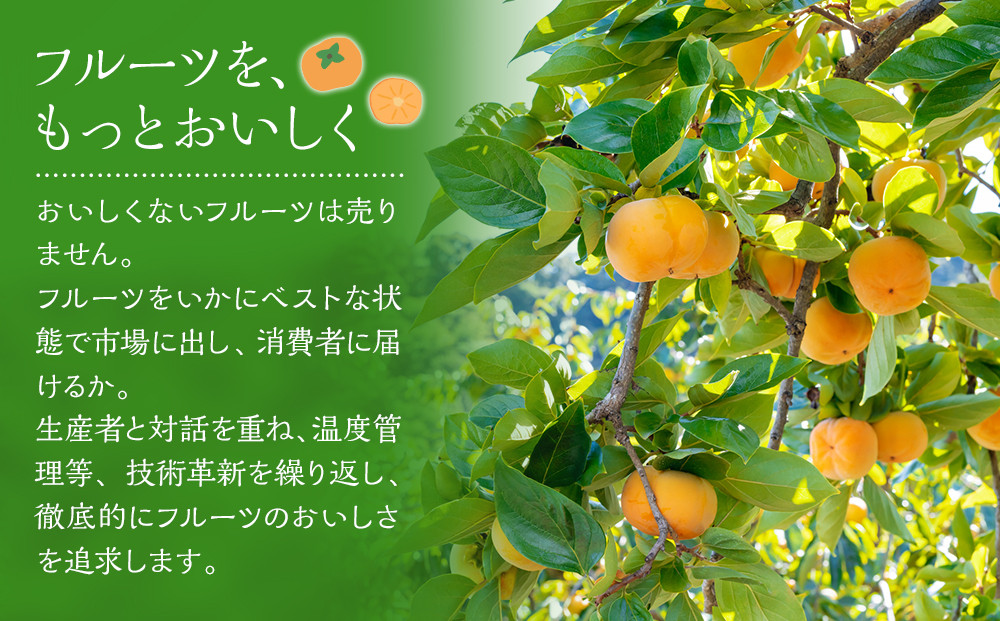 福岡産「秋王」約3kg(8-12玉)【筑前町】