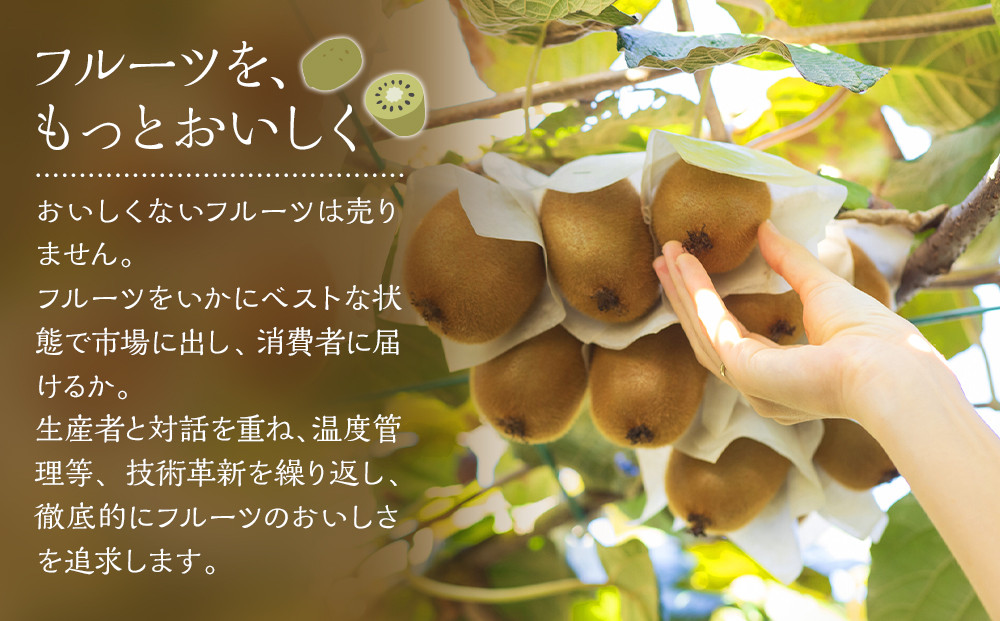 福岡産「甘うぃ」約3kg(24-33玉)【筑前町】