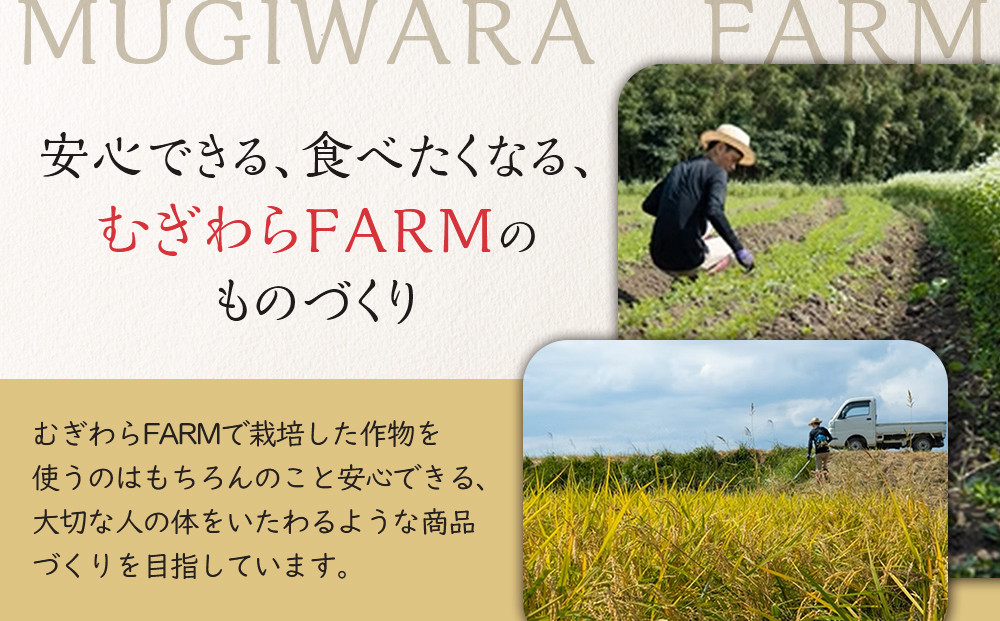 林人参セット( 人参ジュース720ml・ジャム125g・ドレッシング150ml)