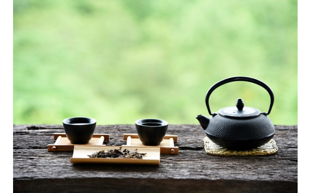 【定期便3回】八女茶　煎茶セット　100g×2袋