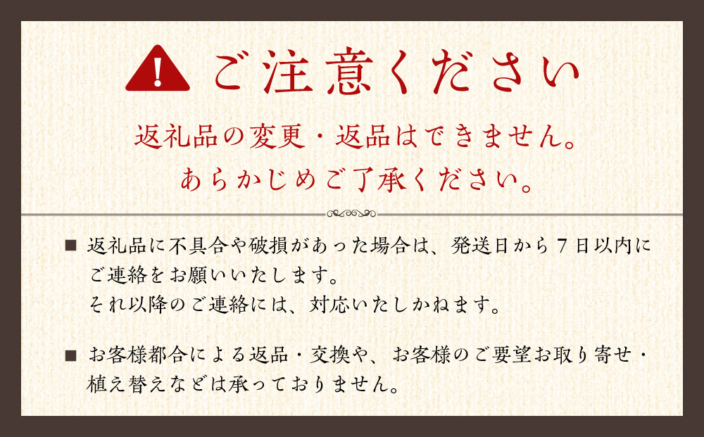 【観葉植物】サンスベリア 7号 ホワイトスクエア陶器鉢SW 高さ：約70cm～1m ｜観葉植物 インテリア 部屋 おしゃれ 福岡県筑前町 送料無料