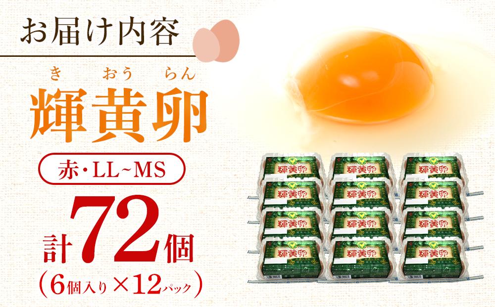 【年内発送】輝黄卵6個入り×12パック