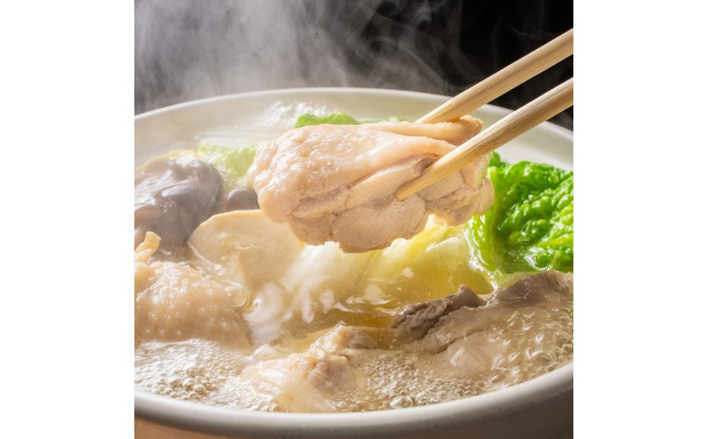 訳あり！博多水炊きセット　10人前（2人前×5セット）