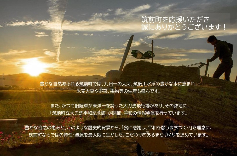 ＜期間限定！～12月31日まで寄附額改定＞【年内発送】博多華味鳥　水たきセット　６～８人前　H-B1　