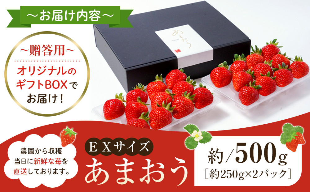 【先行予約 2026年1月以降発送】ふくおかエコ農産物認証!! あまおうEXサイズ 贈答用 約500g（約250×2パック）＜筑前町＞