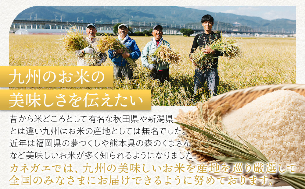 【定期便全6回】【令和7年産新米】【食味鑑定士厳選】福岡県産 夢つくし15kg (5kg×3袋) 合計 90kg