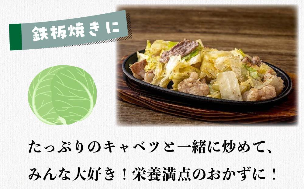 博多和牛ホルモン(もつ鍋・ホルモン焼き用)500g・焼肉のたれ付き