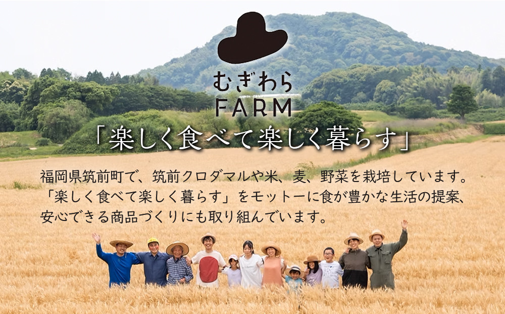 林人参セット( 人参ジュース720ml・ジャム125g・ドレッシング150ml)