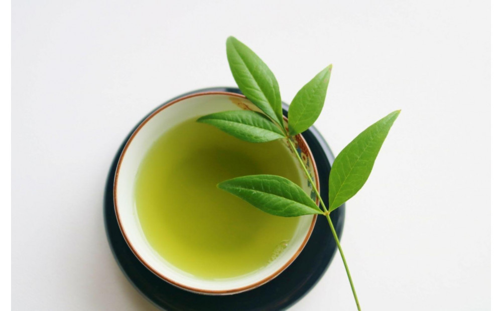 【定期便6回】八女茶　【上】煎茶セット　100g×2袋