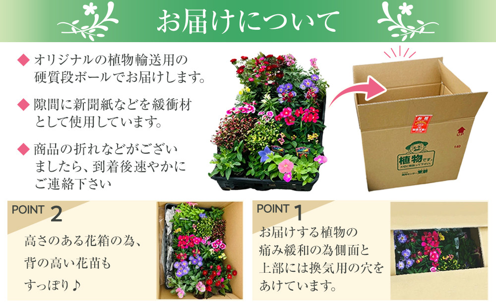 季節の花苗24苗セット 花苗 花 ガーデニング プレゼント ギフト 人気 おすすめ 福岡 筑前町