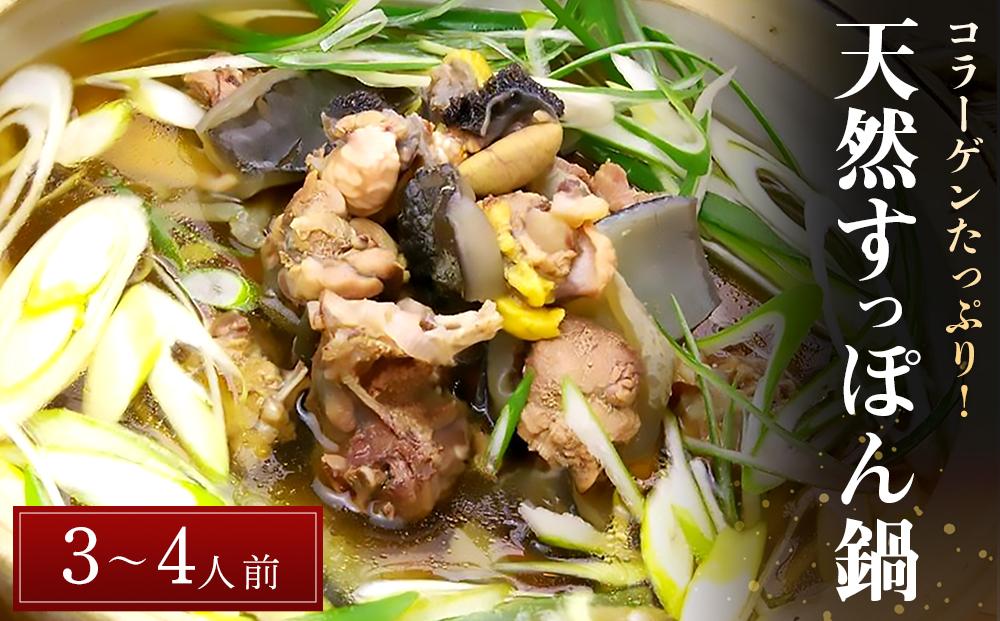 天然すっぽん鍋【3～4人前】