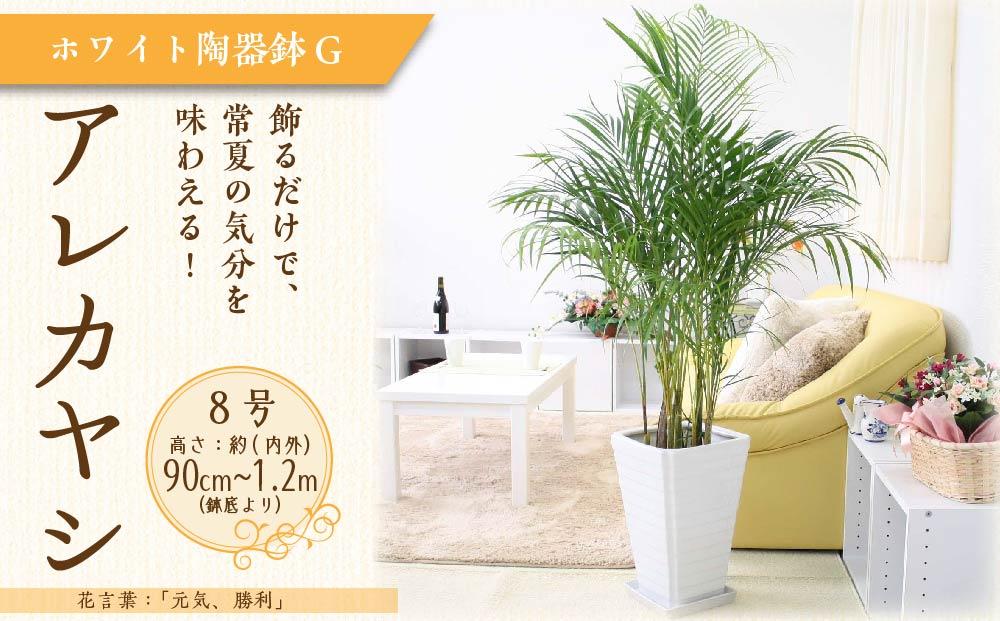 《先行予約》【観葉植物】アレカヤシ 8号 ホワイト陶器鉢 Ｇタイプ 土の表面:ウッドチップ ｜観葉植物 インテリア 部屋 おしゃれ 福岡県筑前町 送料無料