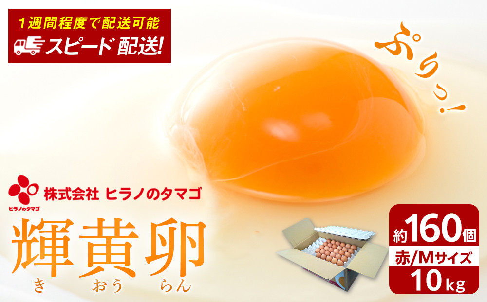 【年内発送】ヒラノのたまご【輝黄卵(きおうらん)】赤Mサイズ10kg(160個前後)