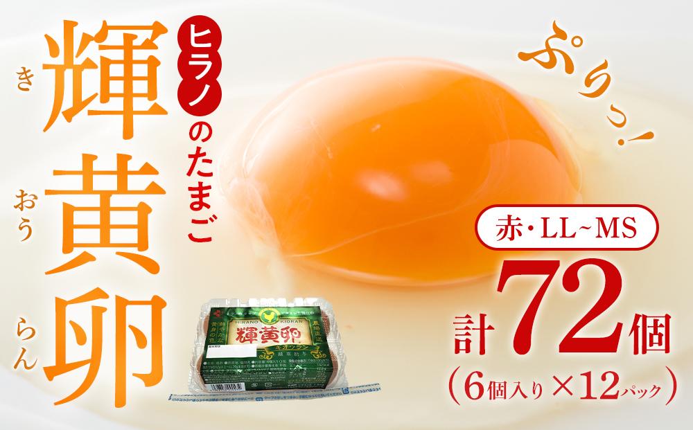 【年内発送】輝黄卵6個入り×12パック