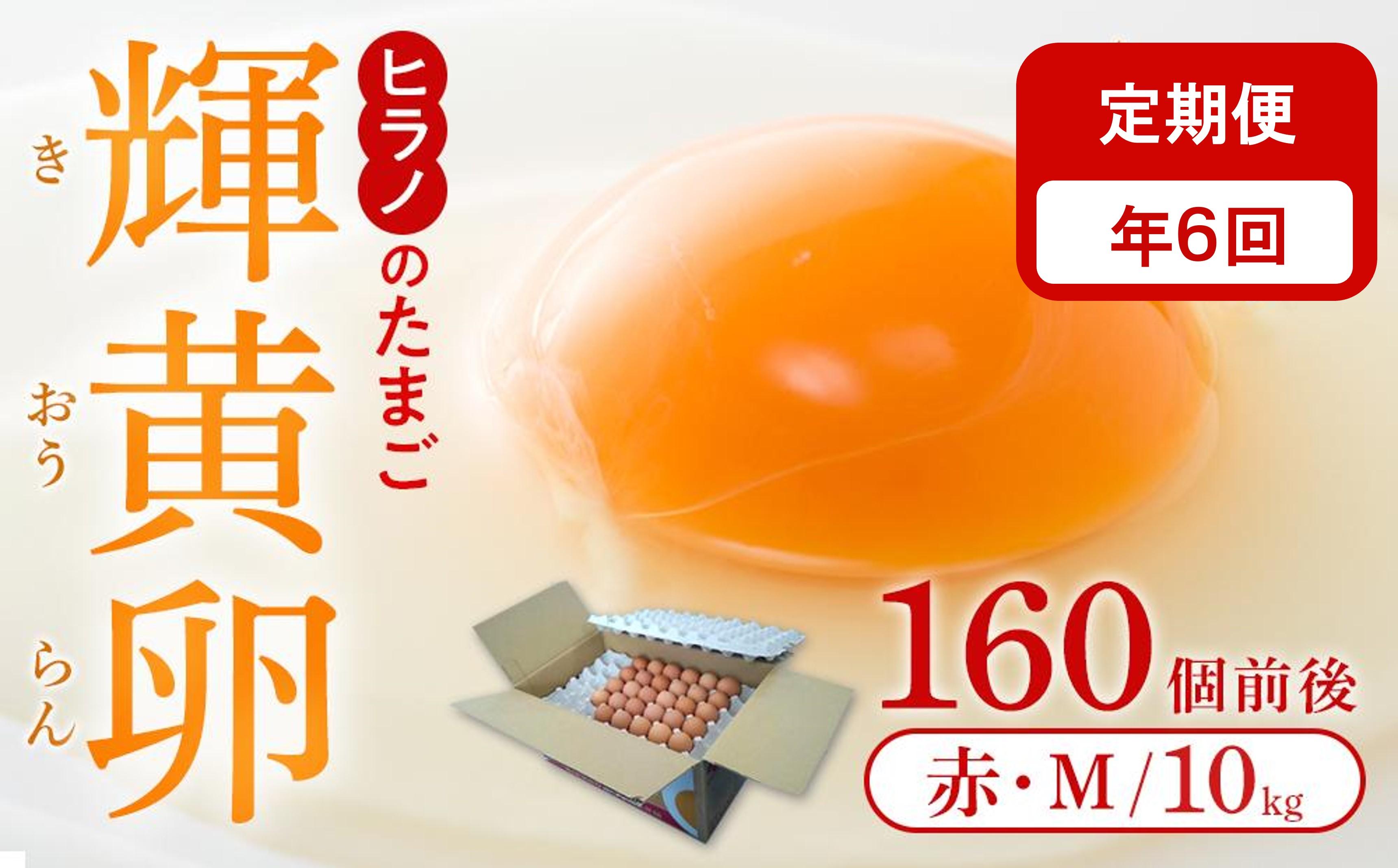 【定期便6回】ヒラノのたまご【輝黄卵(きおうらん)】赤Mサイズ10kg(160個前後)