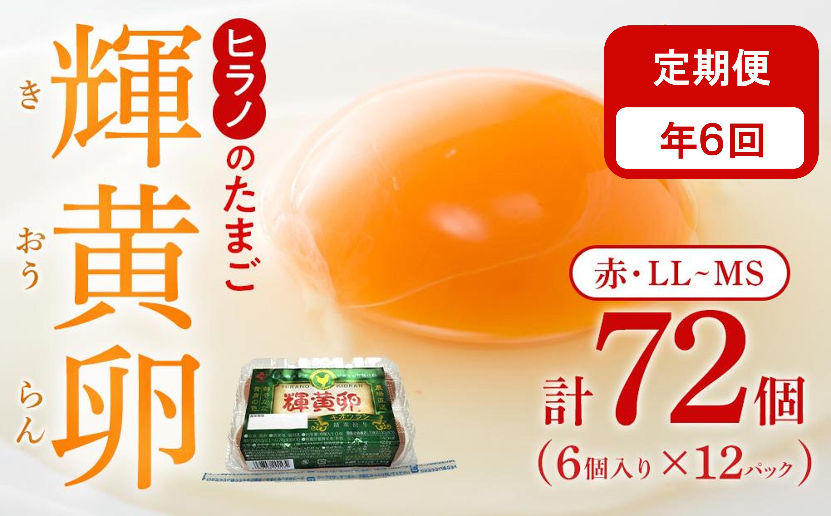 【定期便6回】輝黄卵（きおうらん）72個（6個入り×12パック）