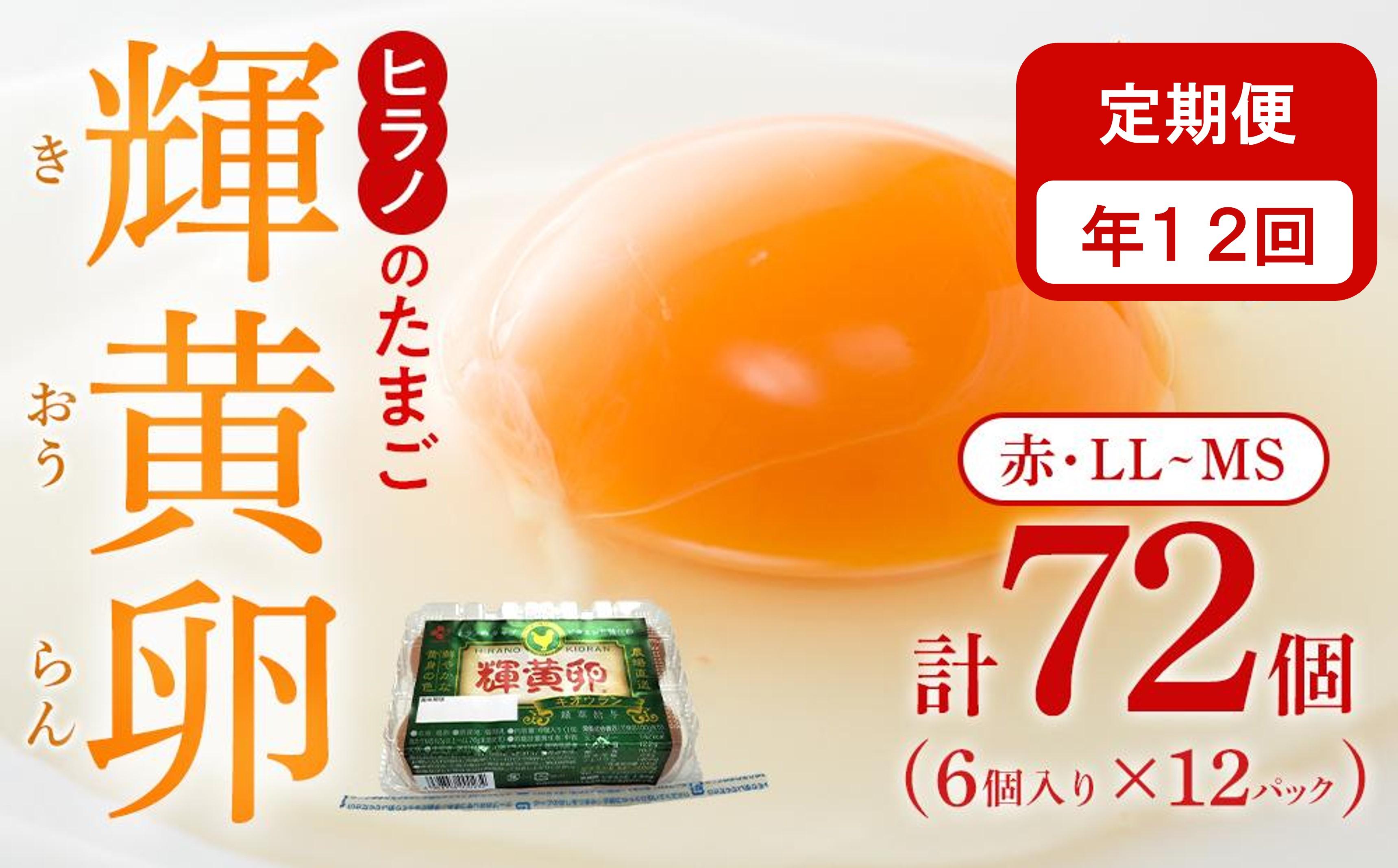 【定期便12回】輝黄卵（きおうらん）72個（6個入り×12パック）