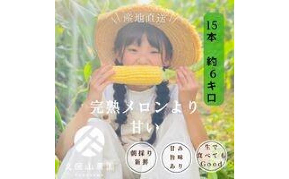 ＜2026年6月発送＞【完熟メロンのように甘い】朝採り!スイートコーン　約6kg15本前後【プレゼントにもオススメ】