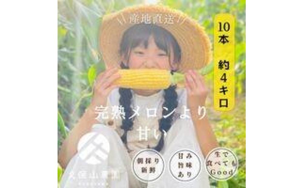 ＜2025年6月発送＞【完熟メロンのように甘い】朝採り!スイートコーン　約4kg（8～10本）【プレゼントにもオススメ】