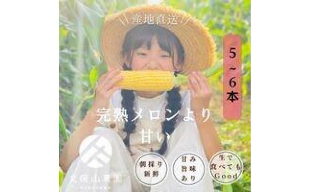 ＜2025年6月発送＞完熟メロンのように甘い朝採り!スイートコーン約5本　ちょっと食べてみたい方におすすめ!(約2kg)