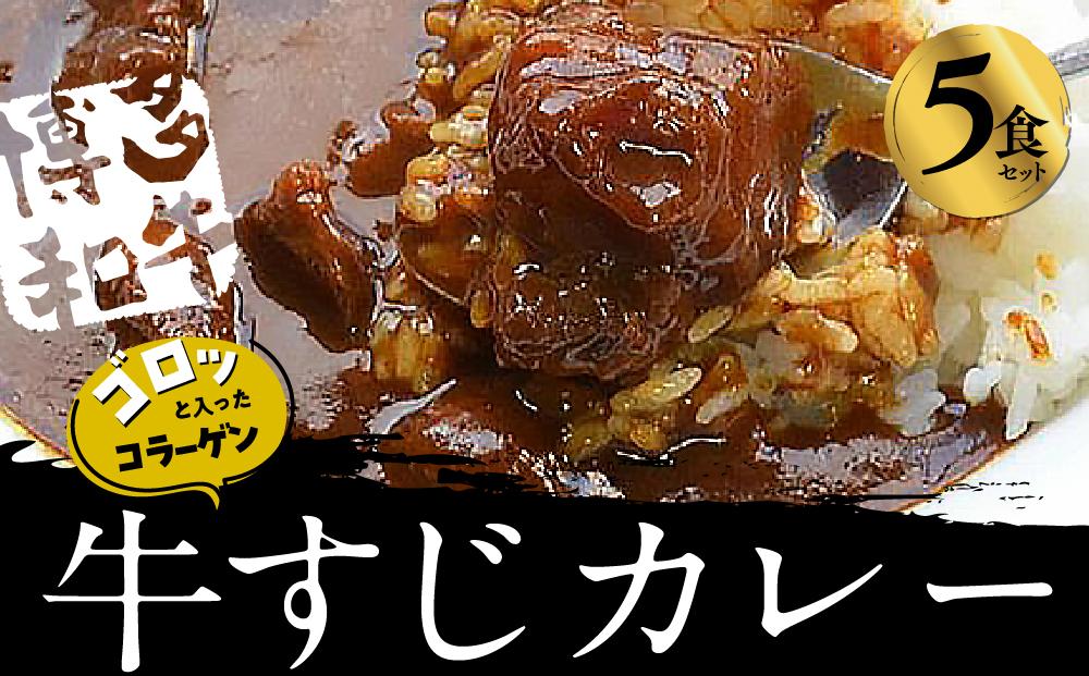 ゴロッ!と入ったコラーゲン博多和牛すじカレー5食セット(筑前町)