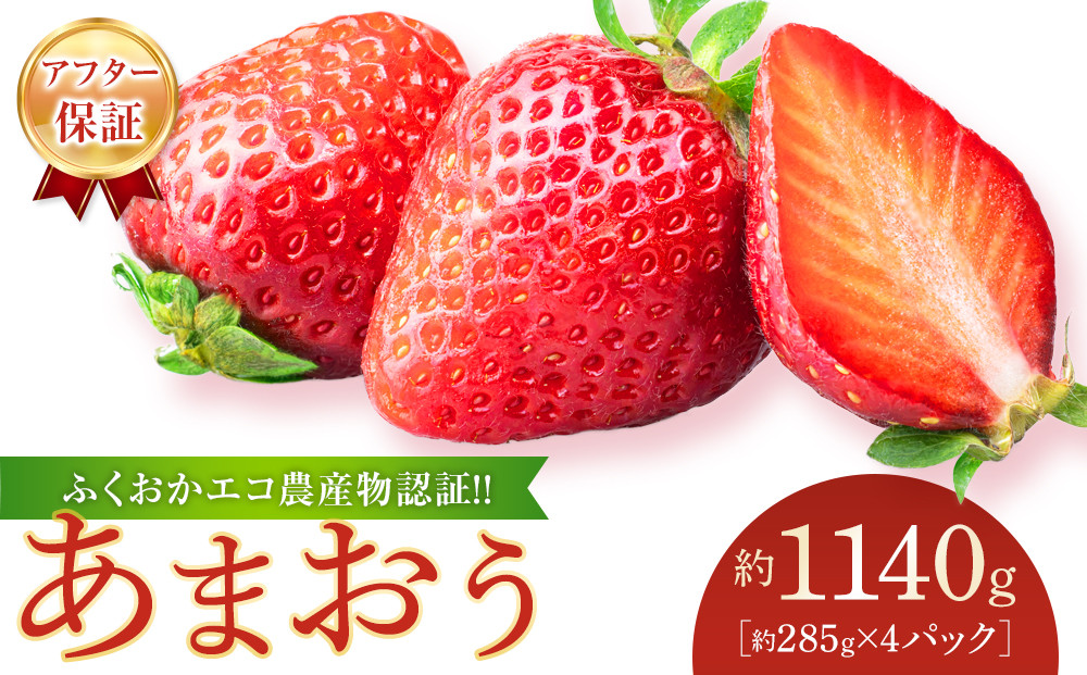 【先行予約 2026年1月以降発送】ふくおかエコ農産物認証!! あまおう 約1140g 約285g×4パック ＜筑前町＞