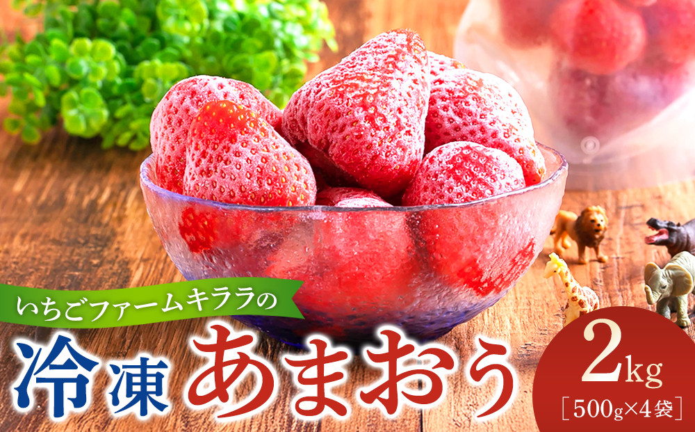 いちごファームキララの冷凍あまおう 2kg（500g×4袋）＜筑前町＞