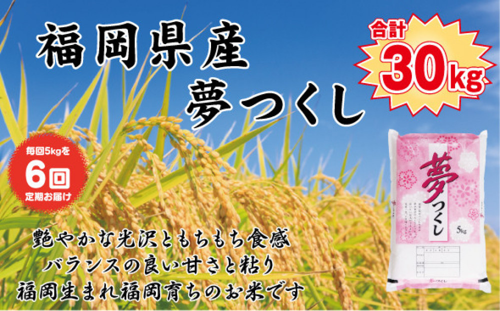 【定期便全6回】【令和7年産新米】【食味鑑定士厳選】福岡県産 夢つくし5kg (5kg×1袋) 合計 30kg