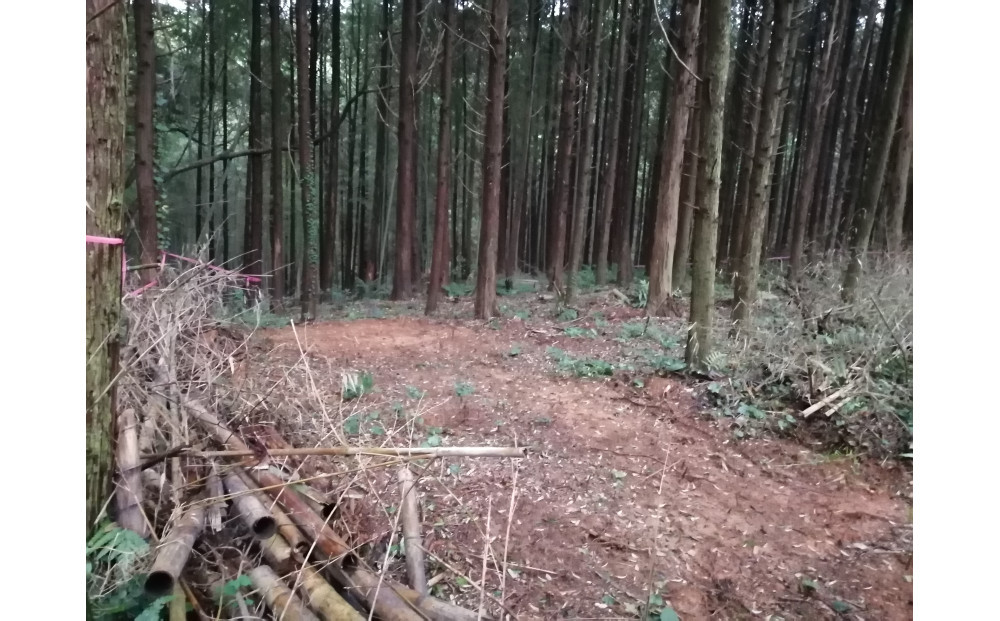 アウトドアキャンパー向け森林レンタル（フォレンタ筑前キャンプエリア）