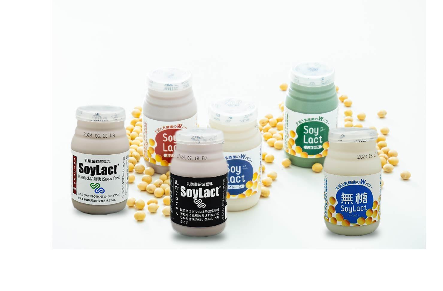 乳酸菌醗酵豆乳「ソイラクト」バラエティセット100ｍｌ×２本×６種（計12本）