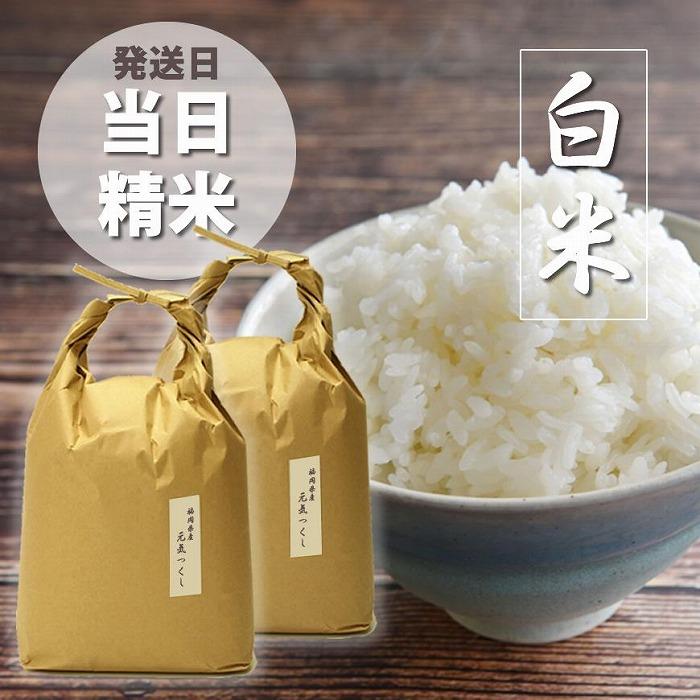 ＜令和7年産＞福岡県産【特A】評価のお米「元気つくし」5kg×2袋 [10kg] [白米]