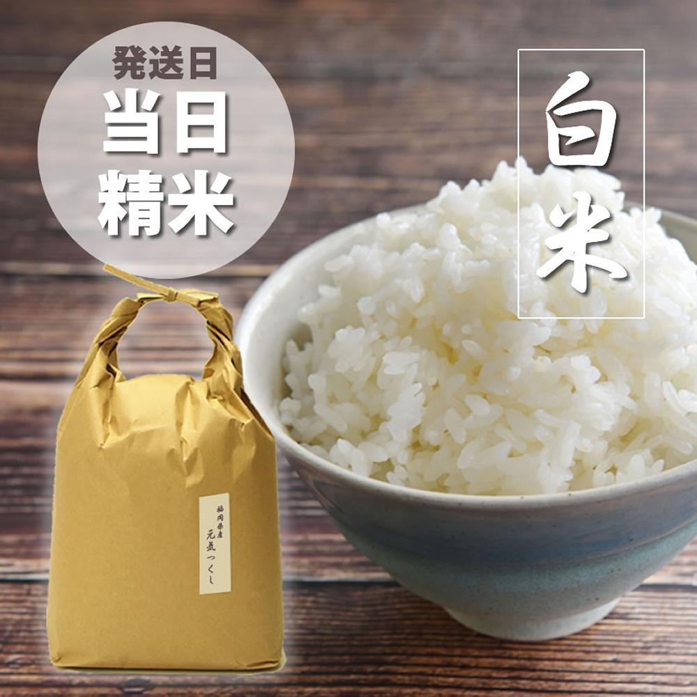 ＜令和7年産＞福岡県産【特A】評価のお米「元気つくし」5kg×1袋 [5kg] [白米]