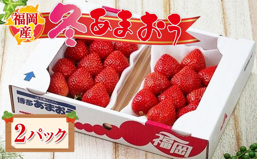 【先行予約 2025年12月上旬以降発送】福岡産【冬】あまおう2パック【筑前町】※一部離島不可