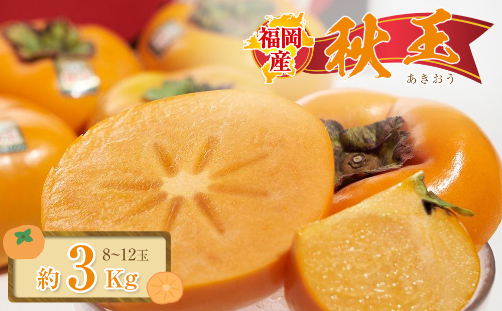 福岡産「秋王」約3kg(8-12玉)【筑前町】