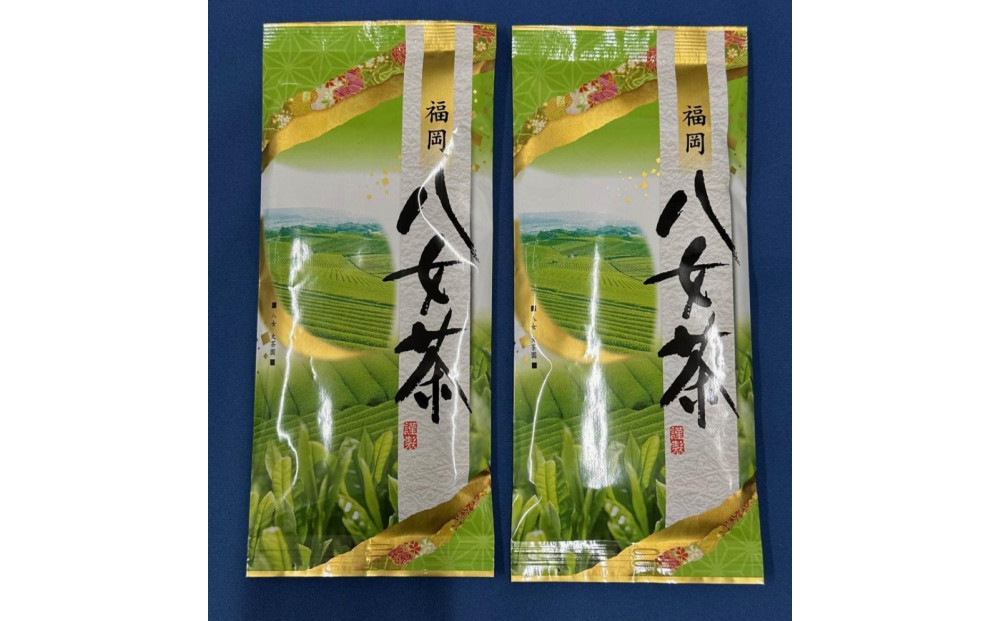 【定期便3回】八女茶　煎茶セット　100g×2袋