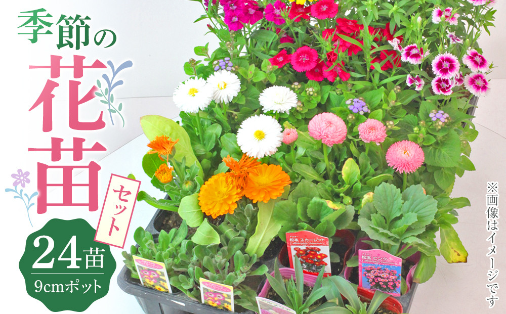 季節の花苗24苗セット 花苗 花 ガーデニング プレゼント ギフト 人気 おすすめ 福岡 筑前町